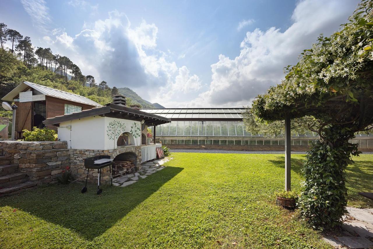 Mansarda Albero Verde Con Piscina Casanova Lerrone Exterior photo