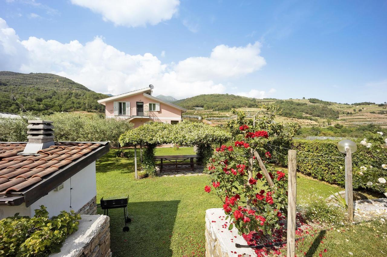 Mansarda Albero Verde Con Piscina Casanova Lerrone Exterior photo